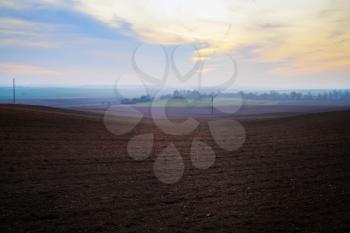 Agricultural rural landscape. Arable land. Evening in the countryside.