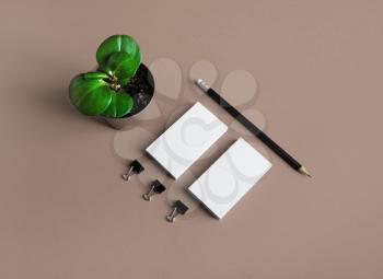 Blank corporate stationery set. Branding mock up. Business cards, pencil and plant.