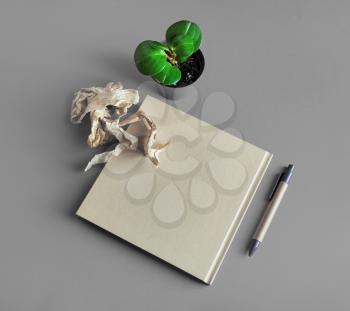 Brown paper stationery and plant on gray paper background.