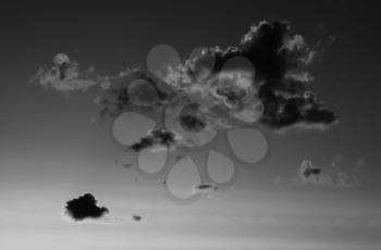 Horizontal black and white sunset cloudscape with flying birds background backdrop