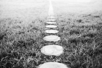 Vertical black and white forest path footway background
