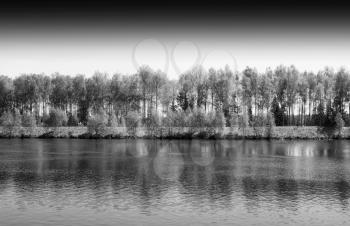 Dramatic river forest horizon background