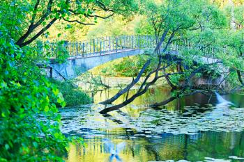 Dramatic bridge at summer park with flying birds background