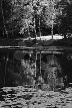 Vertical black and white park pond reflections background