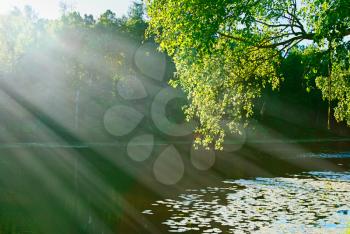Dramatic light rays at park pond landscape background