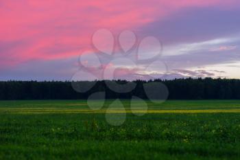 Horizontal vivid sunset meadow landscape background hd