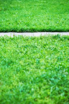 Vertical park path with green grass background  hd