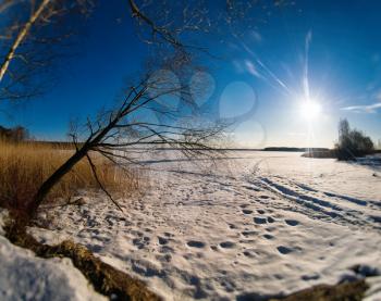 Horizontal vivid winter landscape with sun rays and footprints on snow background backdrop