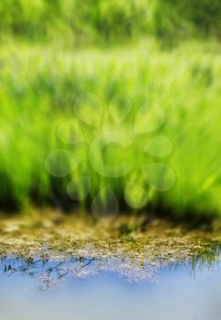 Vertical vivid summer blurred grass water reflection background backdrop