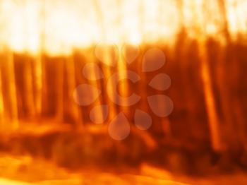 Sunset forest bokeh background hd