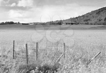 Norway farm field landscape with fence background hd