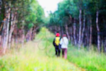 Couple walking through Norway woods bokeh backdrop hd
