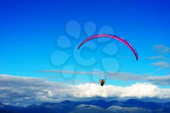 Kite flyer in the sky background hd