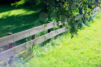 Summer farm wooden fence with tree background hd