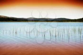 Grass blades in Norway evening lake background hd