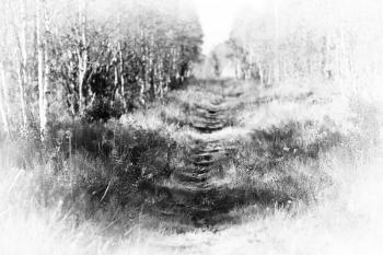 Forest path vignette background hd