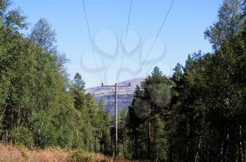 Forest power line landscape backgroundhd
