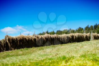Diagonal haystacks landscape background hd