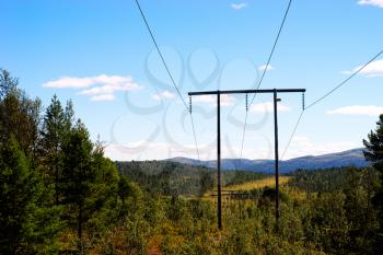 Norway power line in forest background hd