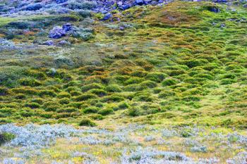 Mountain green moss landscape background hd