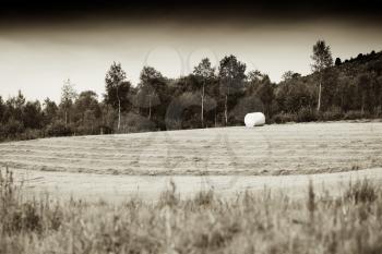 Packed haystack on Norway field sepia background hd