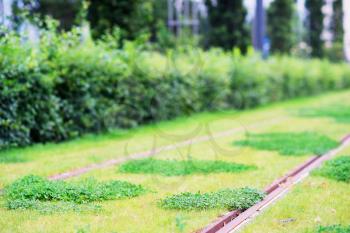 Oslo railway with green grass background hd
