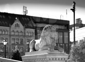 Trondheim stone lion monument bokeh backdrop hd