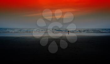 Horizontal wide child watching red sunset on beach ocean background backdrop