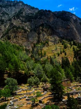 Vivid vibrant vertical mountain village landscape