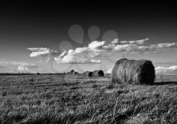 Horizontal black and white hay stack landscape background