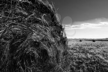 Horizontal vibrant black and white hay stack sun background backdrop