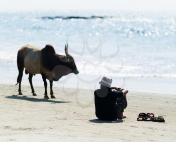 Horizontal vivid man and cow on Indian beach ocean horizon landscape background backdrop