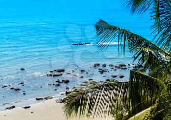 Horizontal vivid sand rock beach ocean palm composition background backdrop