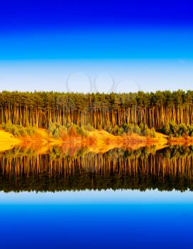 Vertical vibrant wood forest river reflections landscape background backdrop