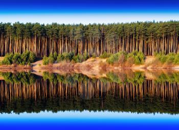Horizontal vivid river side dramatic forest reflection background backdrop