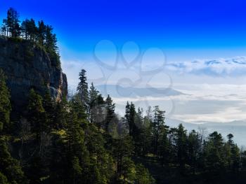 Horizontal vivid mountain forest slope landscape background backdrop