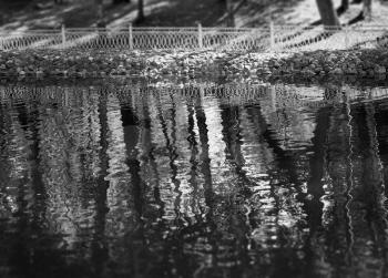 Dramatic park trees reflections in water background