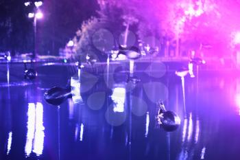 Flying fishes in Moscow park at light show background hd