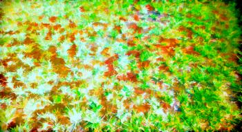 Horizontal grass painting illustration background hd