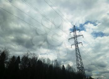 Power line in forest background