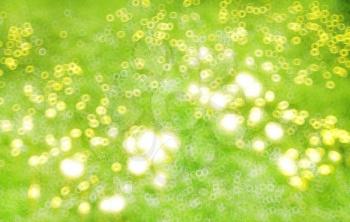 Green and yellow summer lawn bokeh background