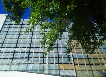 Bsiness office building with summer tree background