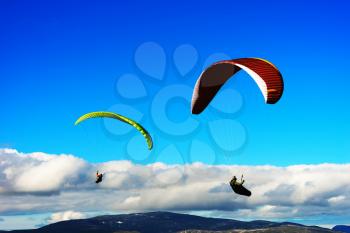 Kite flyers in the sky background hd