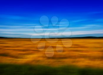 Horizontal vivid motion field meadow landscape