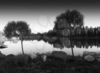 Horizontal two black and white trees landscape background