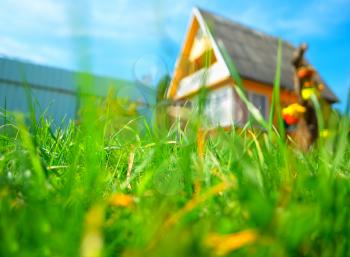 Country side house in green summer grass bokeh backdrop