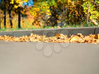 Low angle autumn street pavement object background