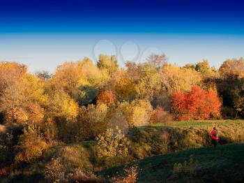 Traveller in autumn park landscape background