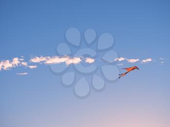 Kite in the sky background