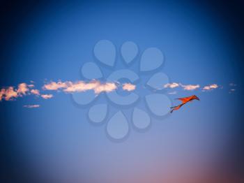 Kite in the sky vignette background